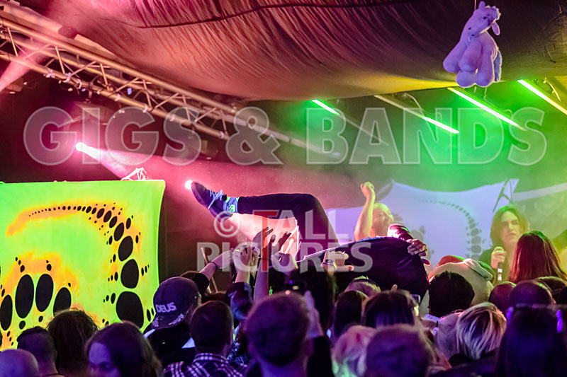 Mechanical Lobster-46 - MECHANICAL LOBSTER