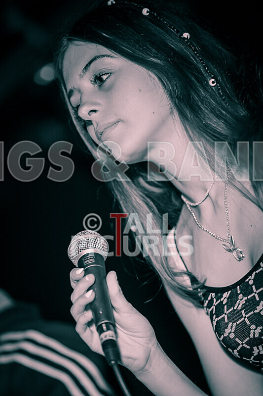 12 Gauge-45 - 12 GAUGE