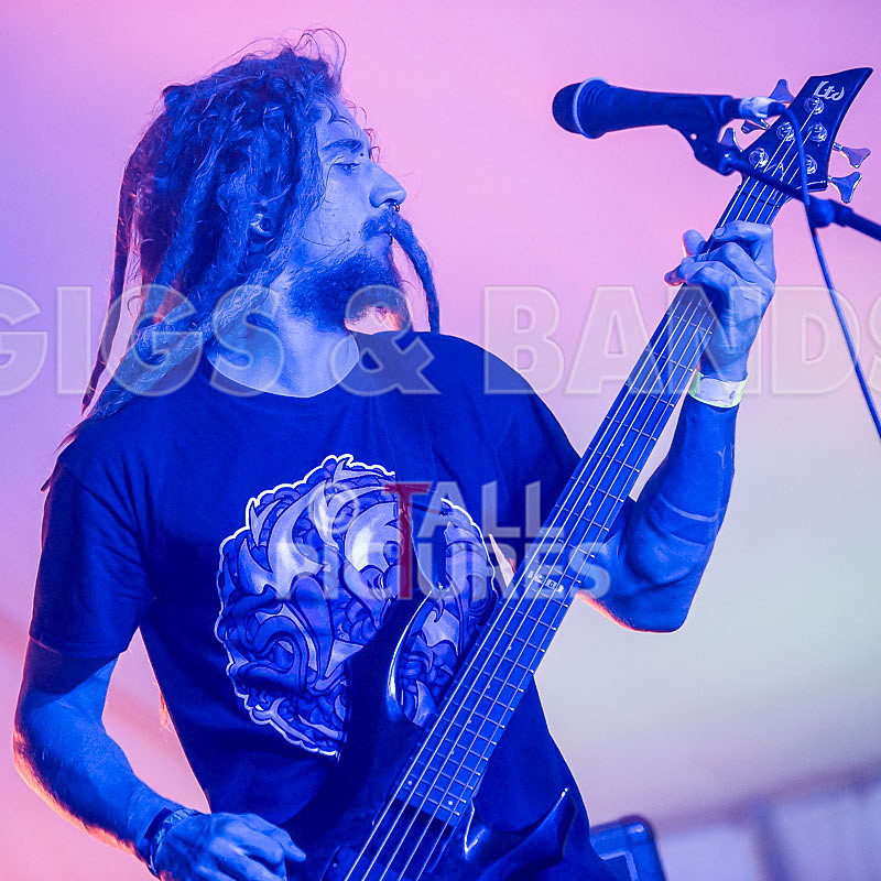 Distant Shores-73 - DISTANT SHORES