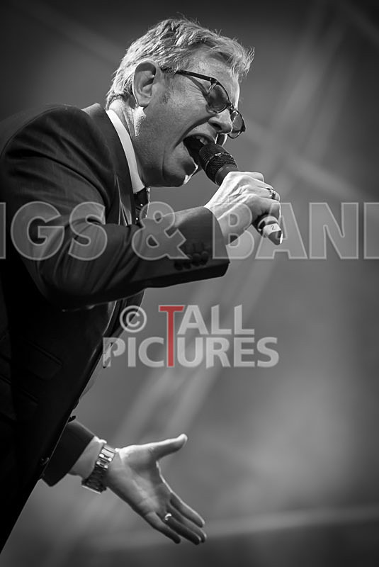 King Rat and the Soul Cats-289 - KING RAT AND THE SOUL CATS