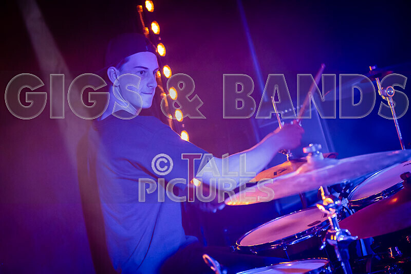 Black Dog-8 - BLACK DOG