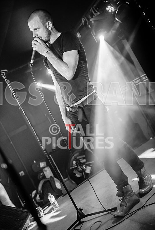 Heymoonshaker-76 - HEYMOONSHAKER