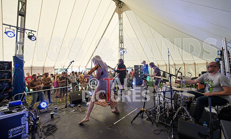 Buffalo Huddleston-275 - BUFFALO HUDDLESTON