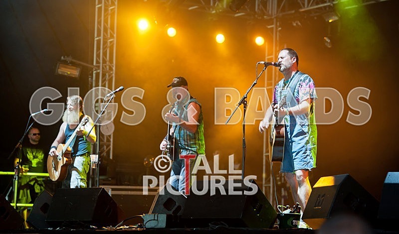 Hayseed Dixie-3 - HAYSEED DIXIE