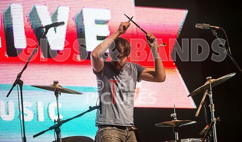 The Cribs-24 - THE CRIBS