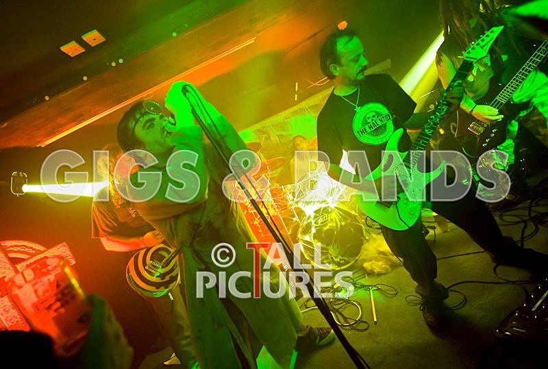 Maiden Guernsey-177 - MAIDEN GUERNSEY