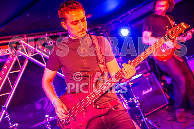 To the Woods-219 - TO THE WOODS