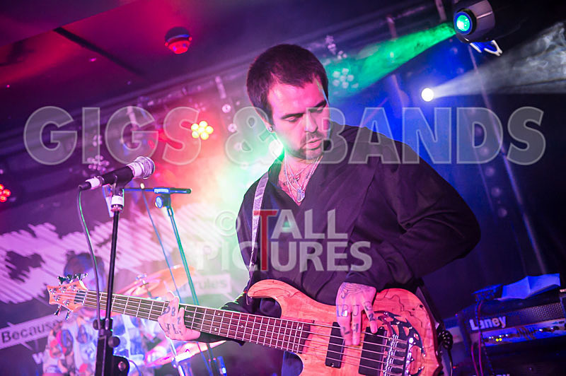 Static Alice-223 - STATIC ALICE