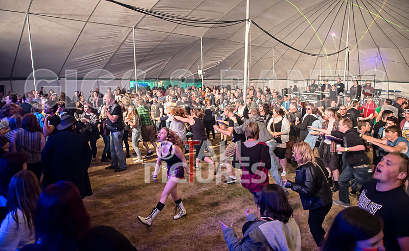 Spunge-95 - [spunge]