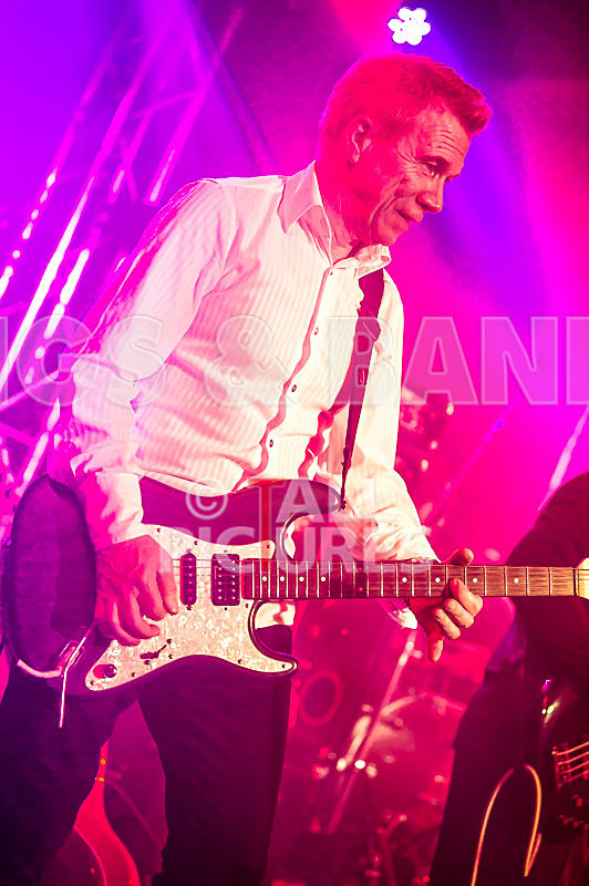 King Rat  the Soul Cats-385 - KING RAT AND THE SOUL CATS