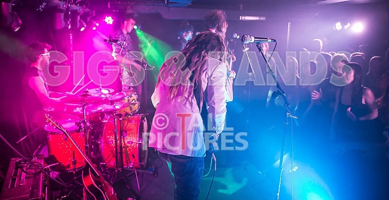 The Recks-252 - THE RECKS