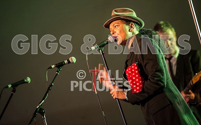 The Selecter-2 - THE SELECTER