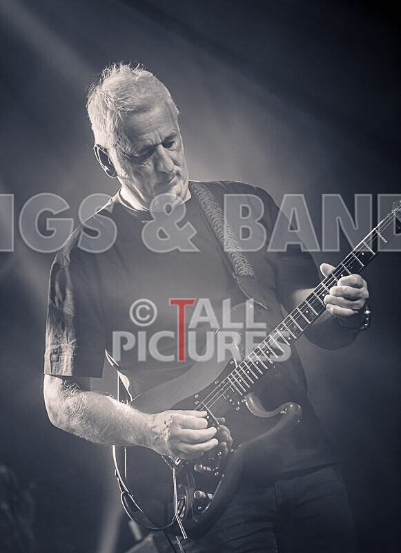 Elysium as Pink Floyd-59 - ELYSIUM as PINK FLOYD