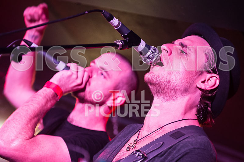 Heymoonshaker-16 - HEYMOONSHAKER