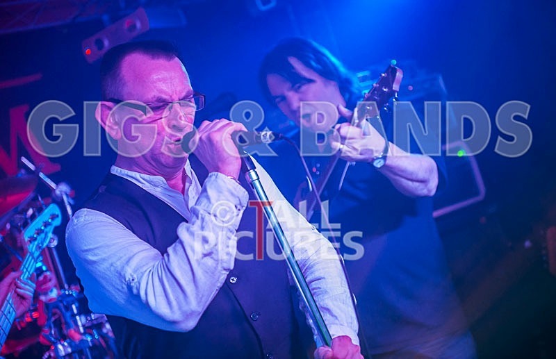 Elysium-211 - ELYSIUM