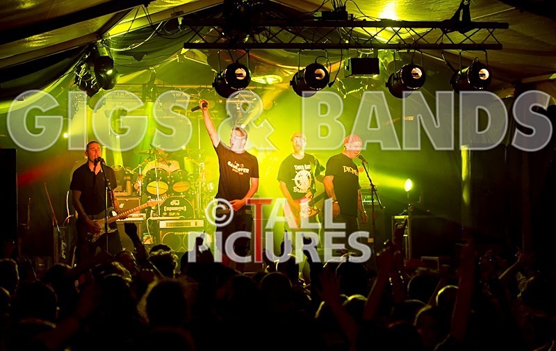 Spunge-47 - [spunge]