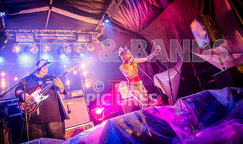 Pussycat and the Dirty Johnsons-33 - PUSSYCAT AND THE DIRTY JOHNSONS