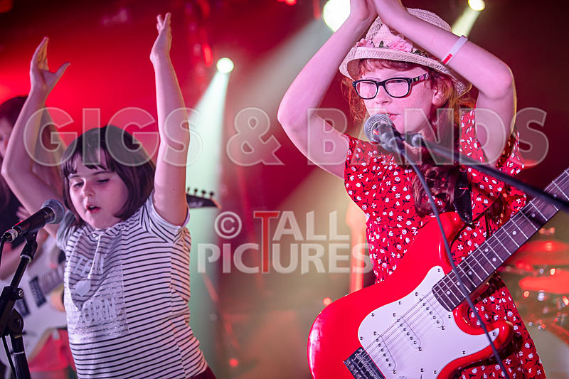 The Flaming Flamingos-29 - THE FLAMING FLAMINGOES