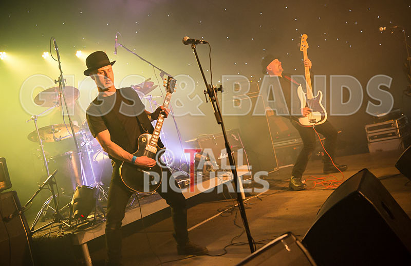 Peppered Ant Legs-145 - PEPPERED ANT LEGS