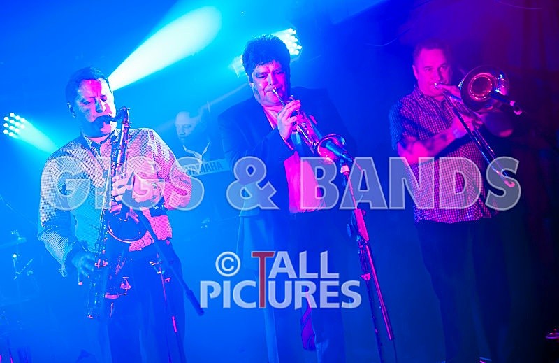 King Rat and the Soul Cats-117 - KING RAT & THE SOUL CATS