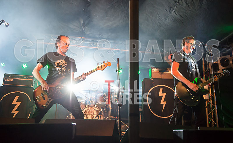 The Electric Shakes-80 - THE ELECTRIC SHAKES