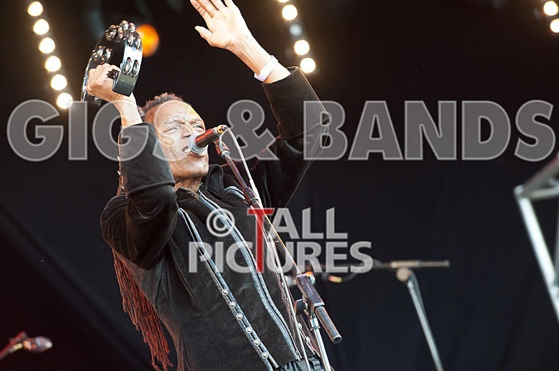 The Beat-32 - THE BEAT