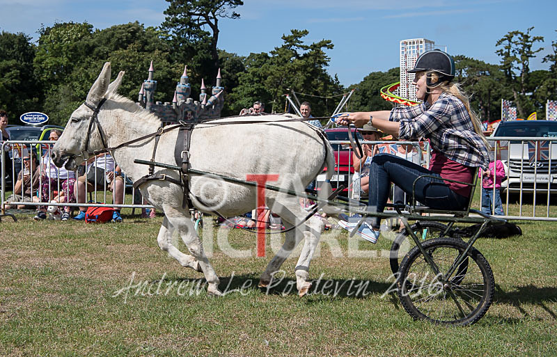 Donkey Derby_2016-24 - LIONS CLUB DONKEY DERBY 2016