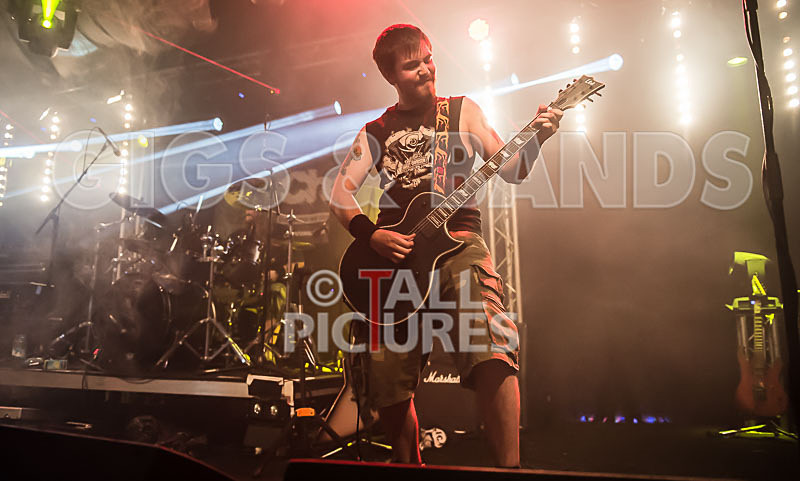 Demise of Sanity-45 - DEMISE OF SANITY