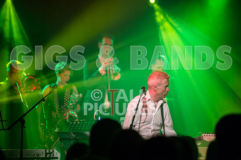 King Rat_30th Birthday Gig-35 - KING RAT AND THE SOUL CATS 30th BIRTHDAY