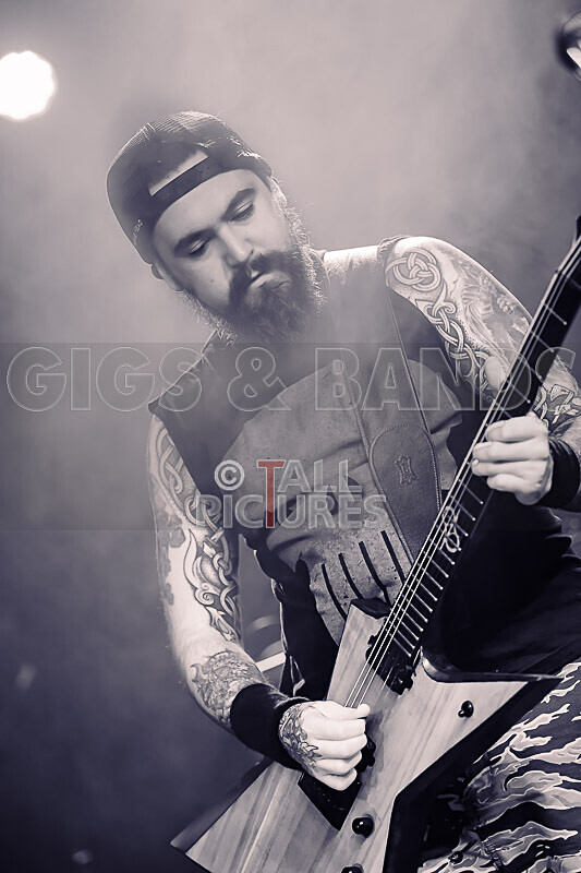 Demise of Sanity-230 - DEMISE OF SANITY