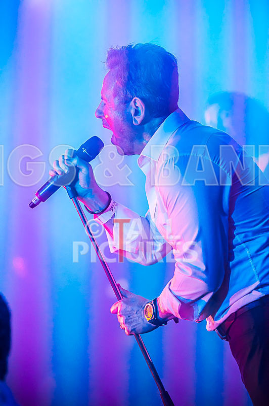 King Rat the Soul Cats-392 - KING RAT AND THE SOUL CATS