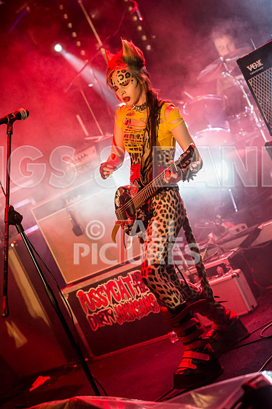 Pussycat and the Dirty Johnsons-35 - PUSSYCAT AND THE DIRTY JOHNSONS