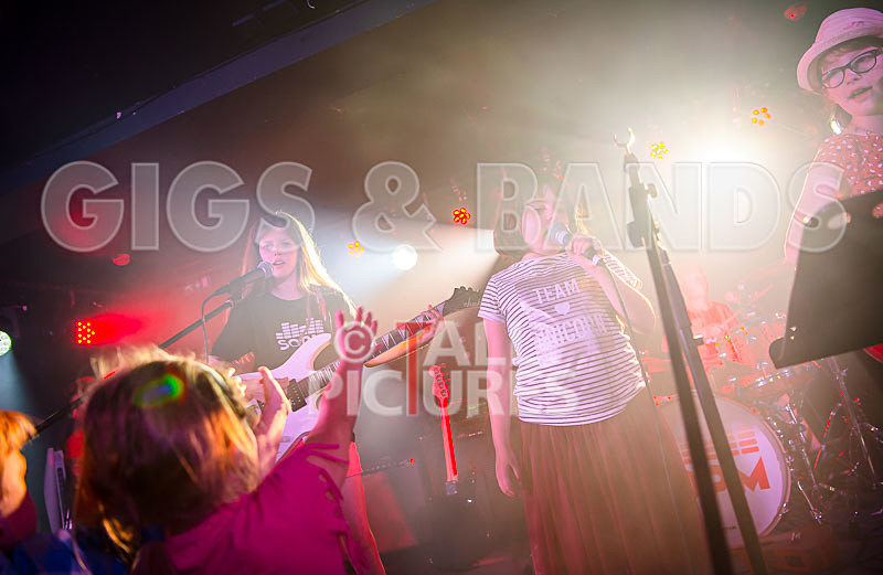 The Flaming Flamingos-25 - THE FLAMING FLAMINGOES