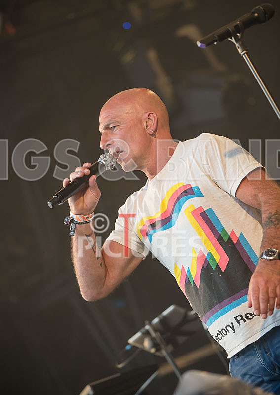 Jersey Live-2015_Scene-32 - JERSEY LIVE 2015 - THE ATMOSPHERE