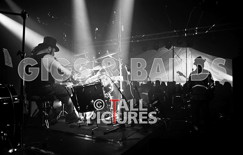 Peppered Ant Legs-84 - PEPPERED ANT LEGS