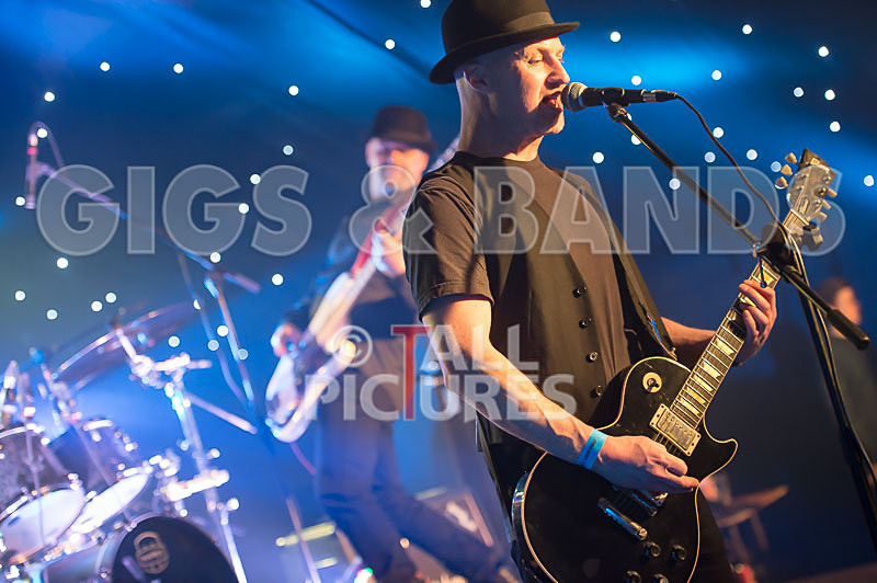 Peppered Ant Legs-179 - PEPPERED ANT LEGS