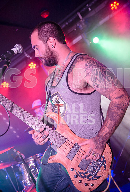 Static Alice-329 - STATIC ALICE