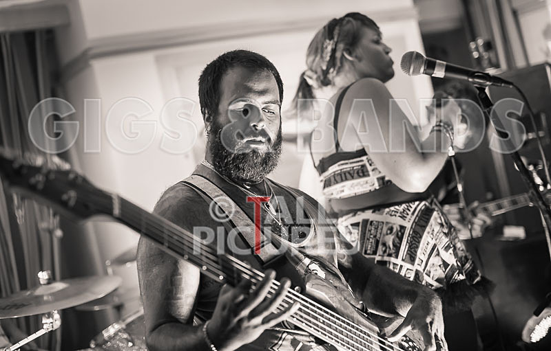 Static Alice-158 - STATIC ALICE