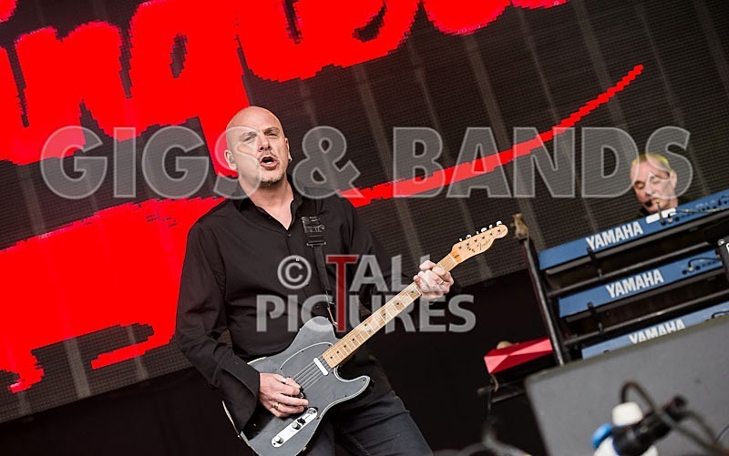 The Stranglers-17 - THE STRANGLERS