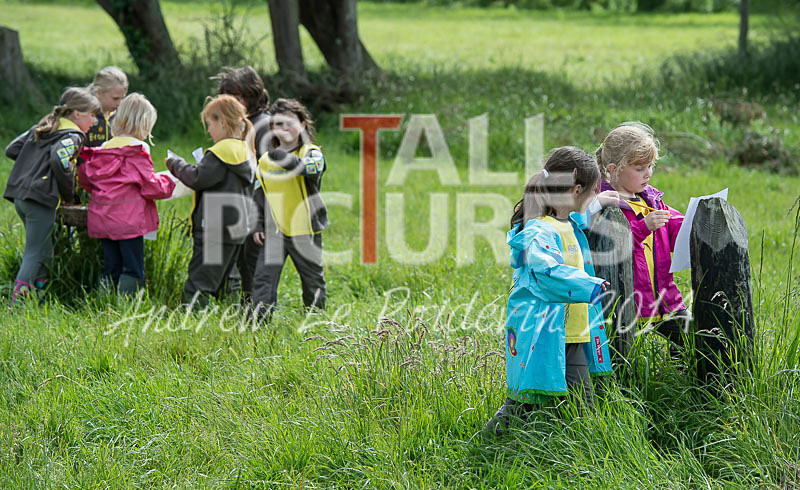 Big Brownie Birthday Party-82 - BROWNIE CENTENARY BROWNIE SLEEPOVER