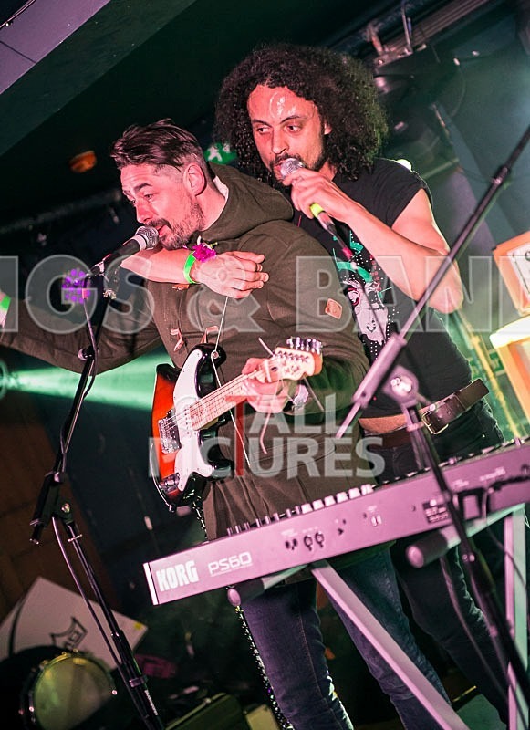 Harlequin Knights-49 - HARLEQUIN KNIGHTS