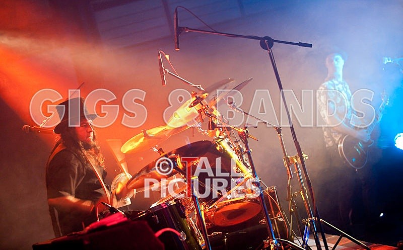 Peppered Ant Legs-32 - PEPPERED ANT LEGS at RoA-3