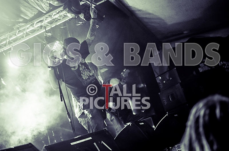 Viking Skull-11 - VIKING SKULL