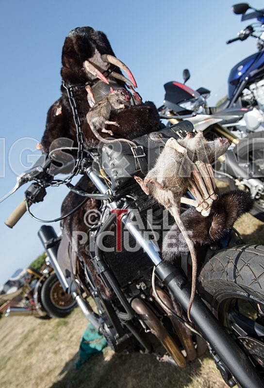 Chaos 2013_The Atmosphere-13 - CHAOS 2013... THE ATMOSPHERE