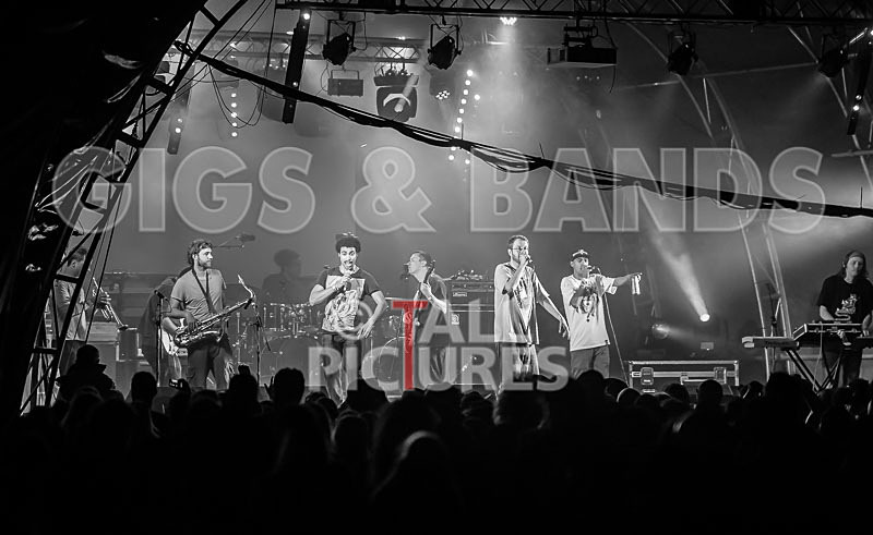 The Mouse Outfit-35 - THE MOUSE OUTFIT