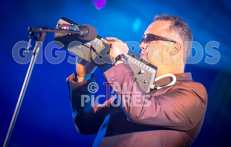 Sons of the Desert-311 - SONS OF THE DESERT