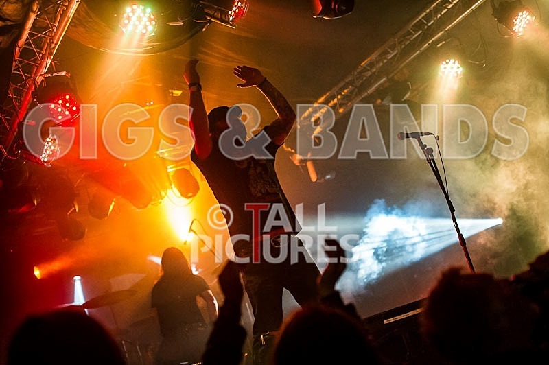 Viking Skull-39 - VIKING SKULL