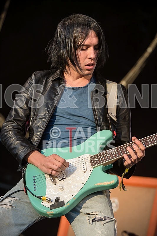 The Cribs-19 - THE CRIBS