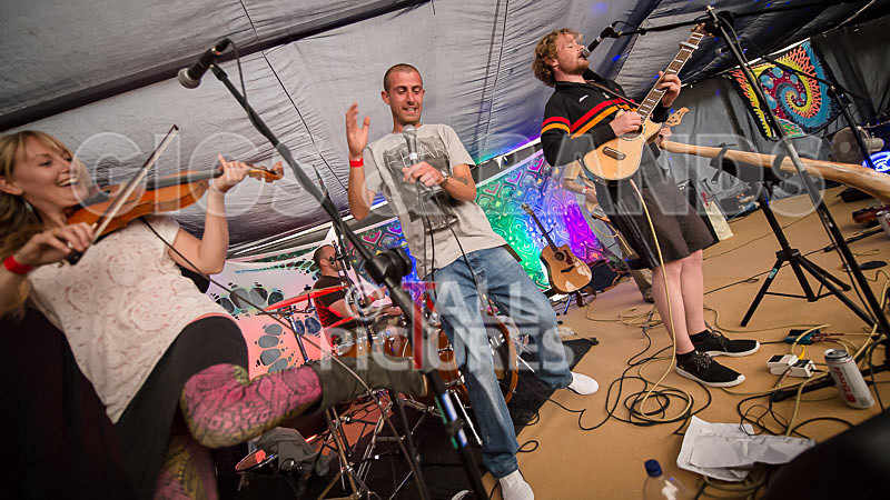 Buffalo Huddleston-218 - BUFFALO HUDDLESTON