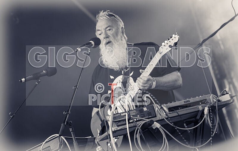 Its Own Animal-41 - ITS OWN ANIMAL